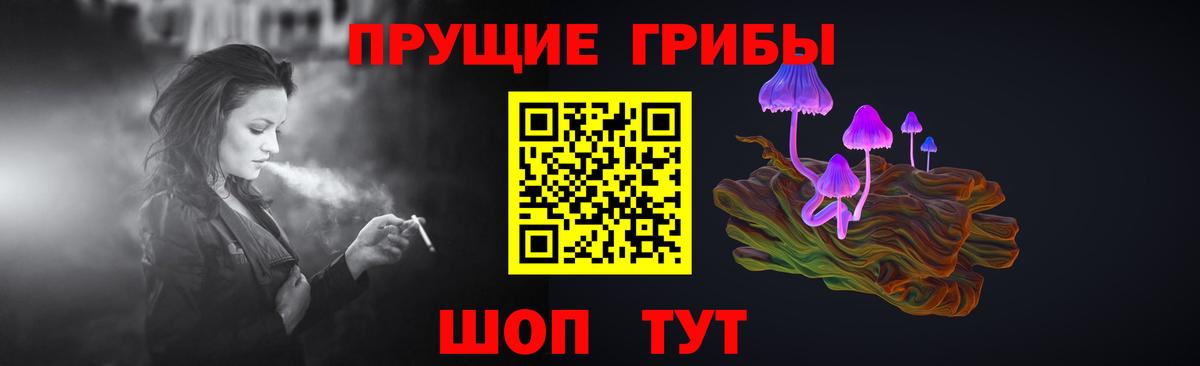 Псилоцибиновые грибы MAGIC MUSHROOMS Печора
